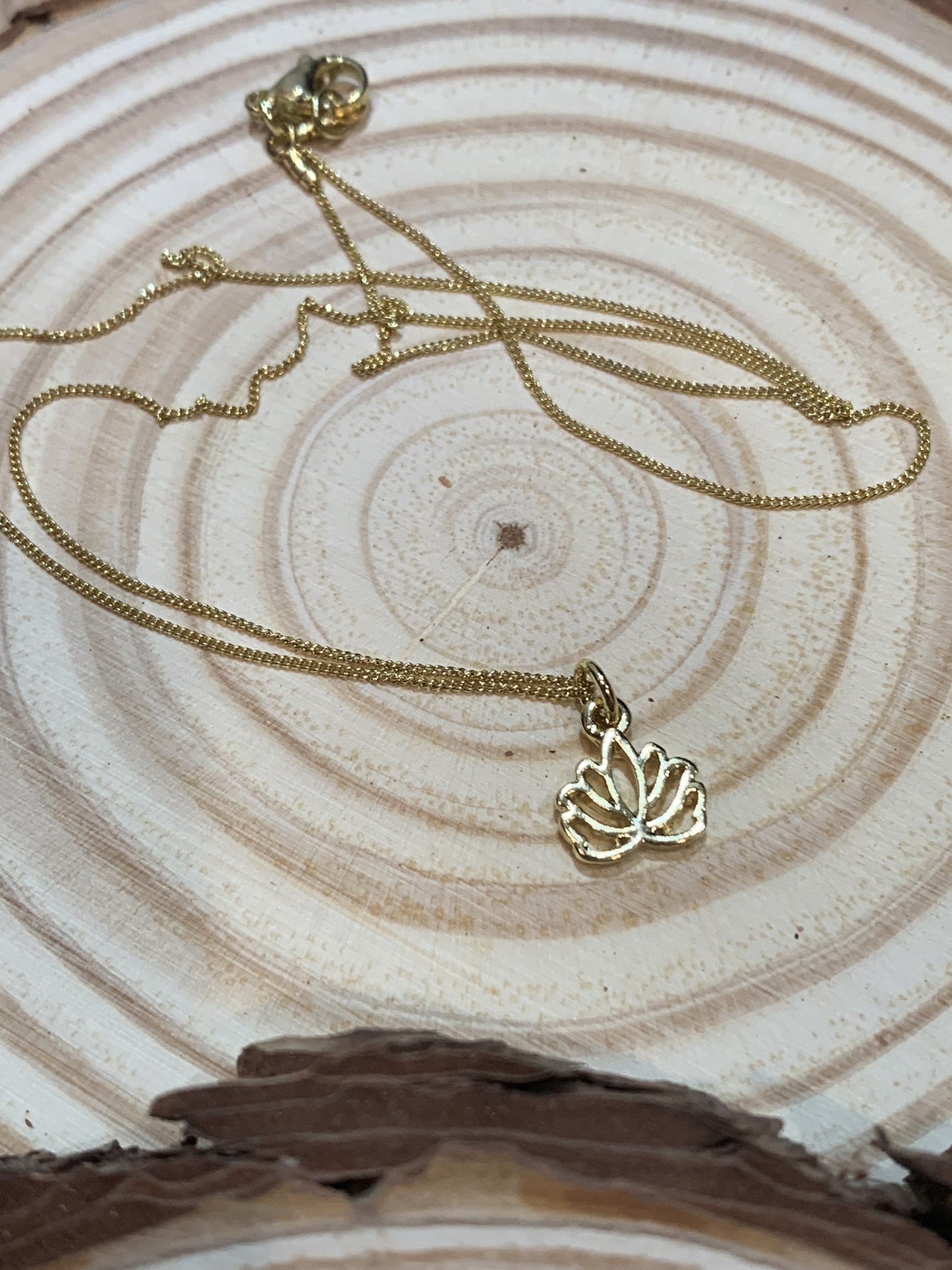 Be like the lotus... trust in the light!