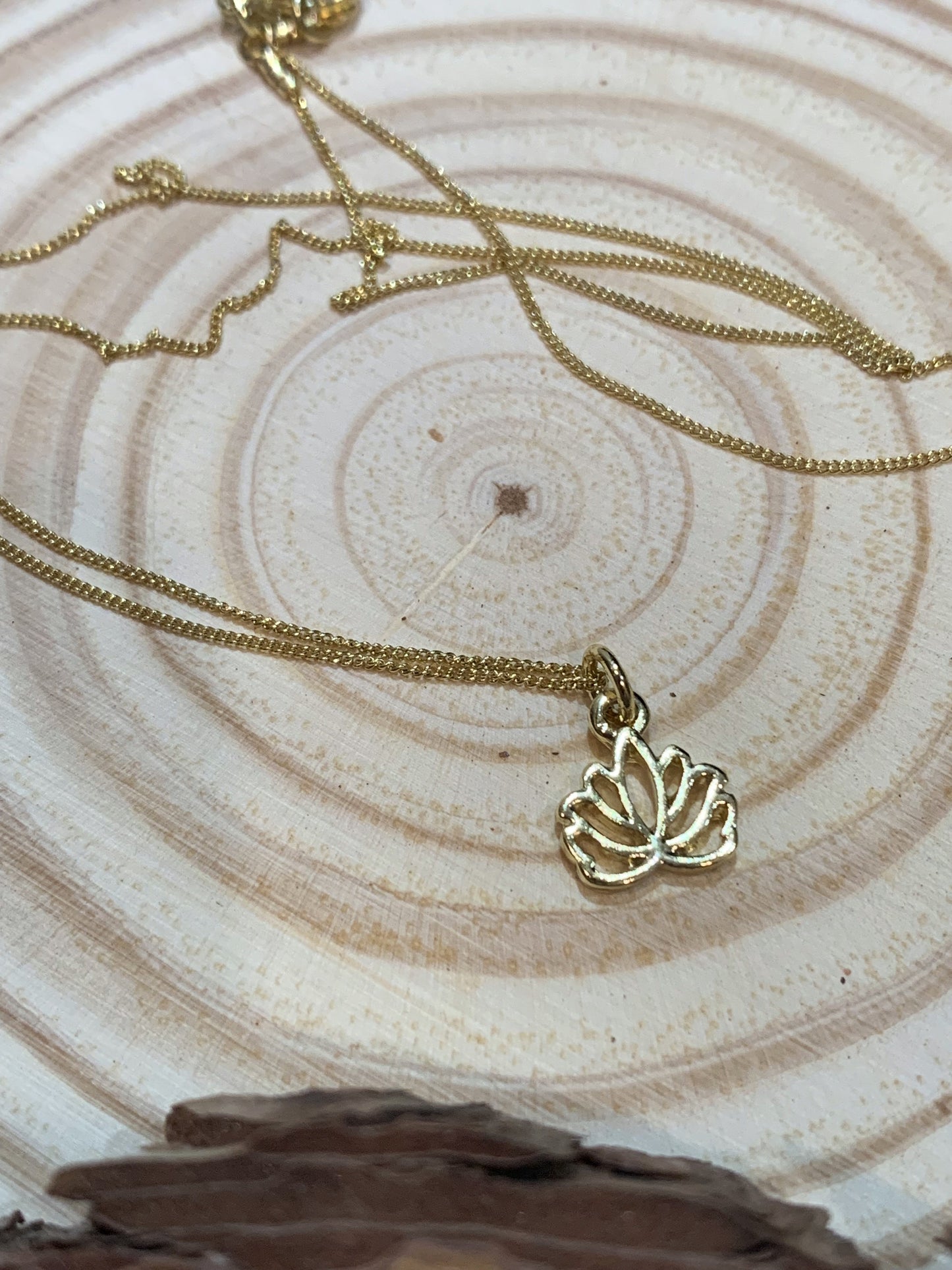 Be like the lotus... trust in the light!