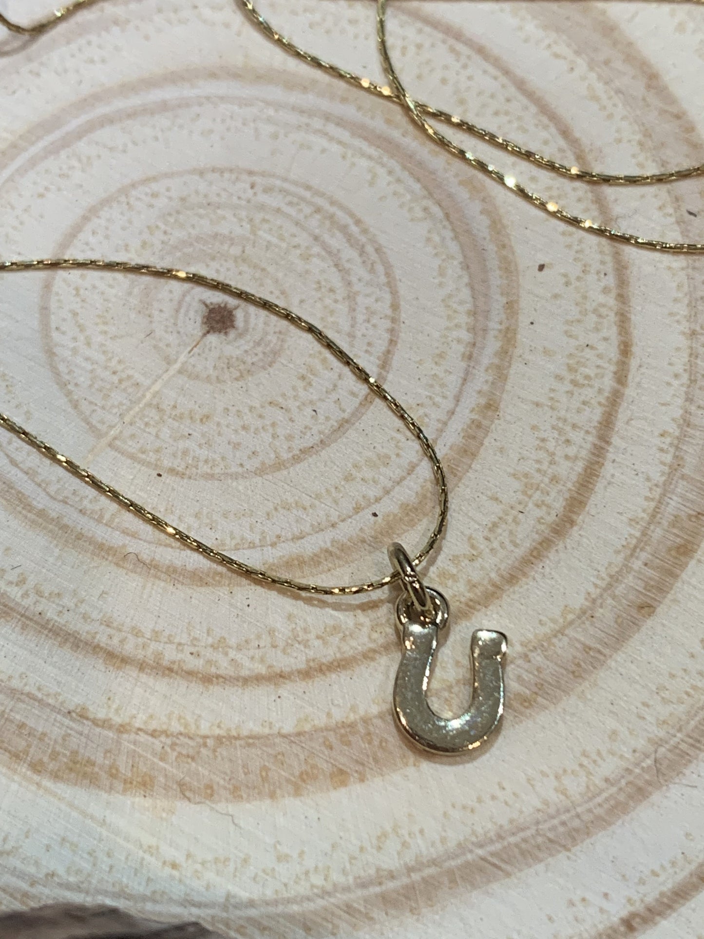My lucky horseshoe.